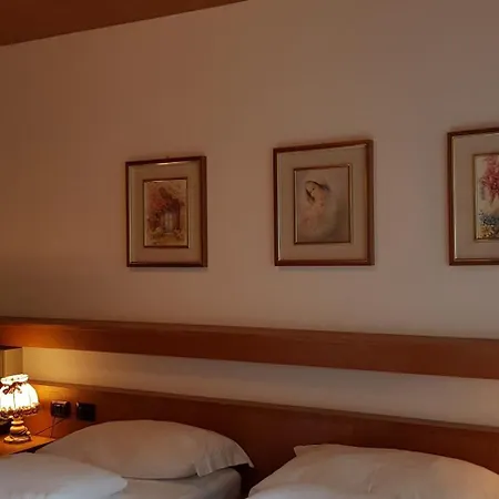 Hotel Roy 3*